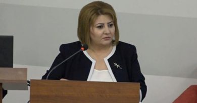 отношении Анаит