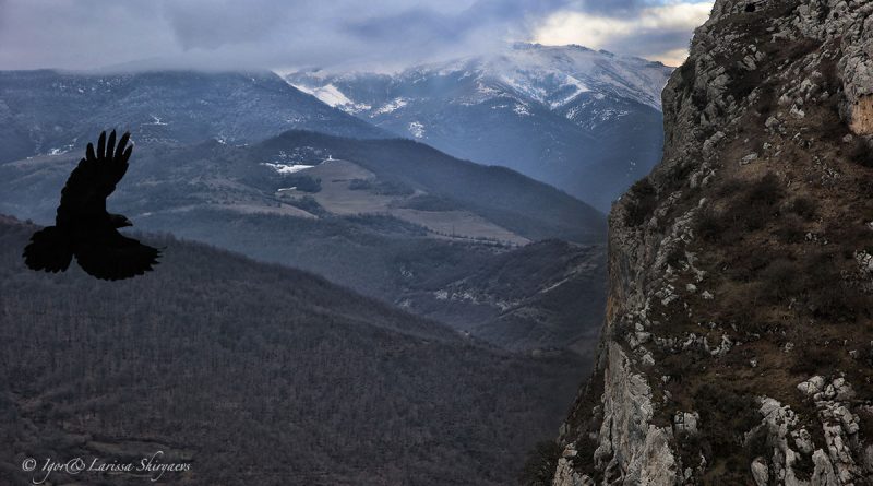 25 вопросов о Нагорном Карабахе