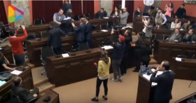 Драка в парламенте Грузии