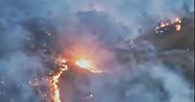 Турции бушует лесной пожар