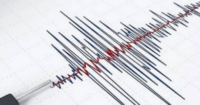Турции произошло землетрясение