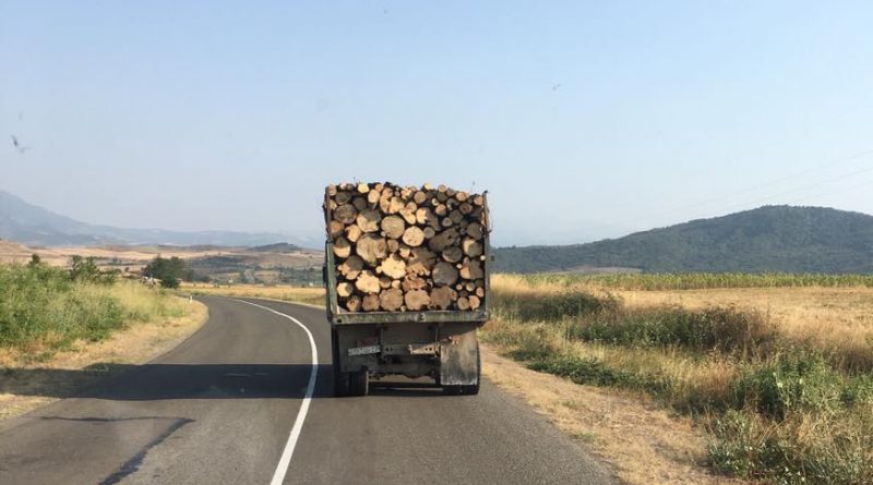 Арцахе продолжают вырубать леса