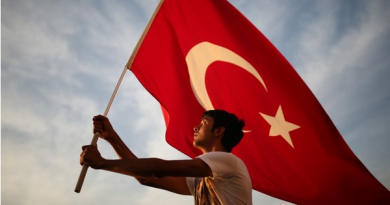 МИД Турции подверг резкой критике