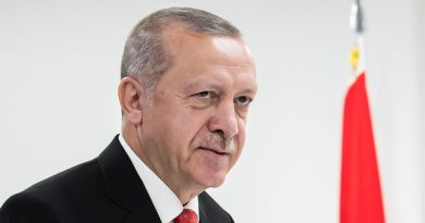 Эрдоган осудил авиаудар
