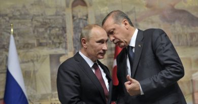 России и Турции по Сирии