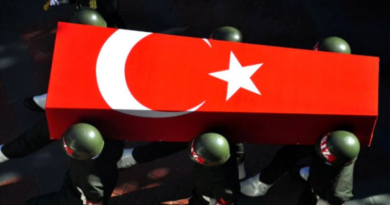 ликвидировали 17 турецких