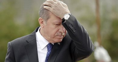 Эрдоган едет в США
