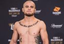 Георгий Караханян задушил оппонента на турнире Bellator 240 Георгий Караханян