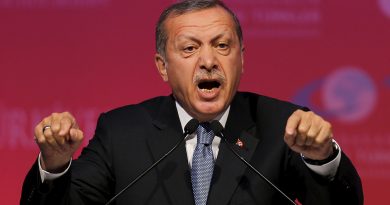 Эрдоган обвинил Россию