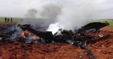 Сирийская шваль