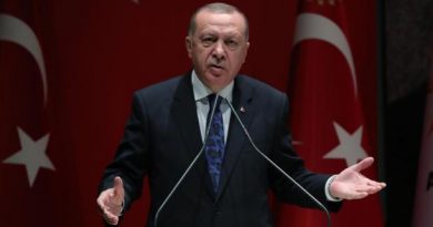 Эрдоган запросил у НАТО