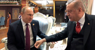 Путин преподал Эрдогану
