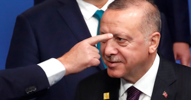 Турция пустит всех