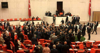 драка в парламенте Турции