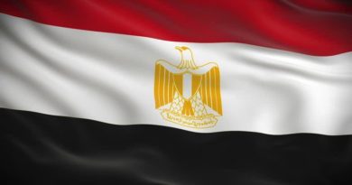 официальным визитом Египет