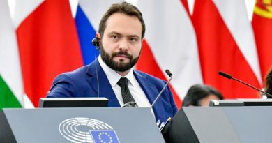 Вице-президент Европарламента