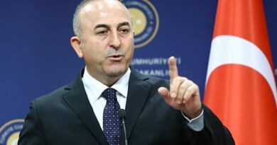 санинспекторов из России