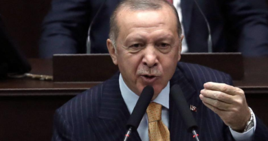 Эрдоган призвал исламский