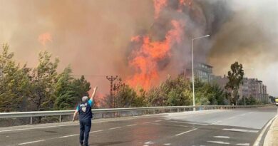 Лесные пожары в Турции