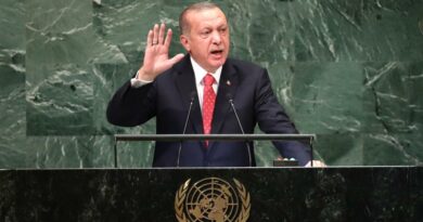 Эрдоган в ООН