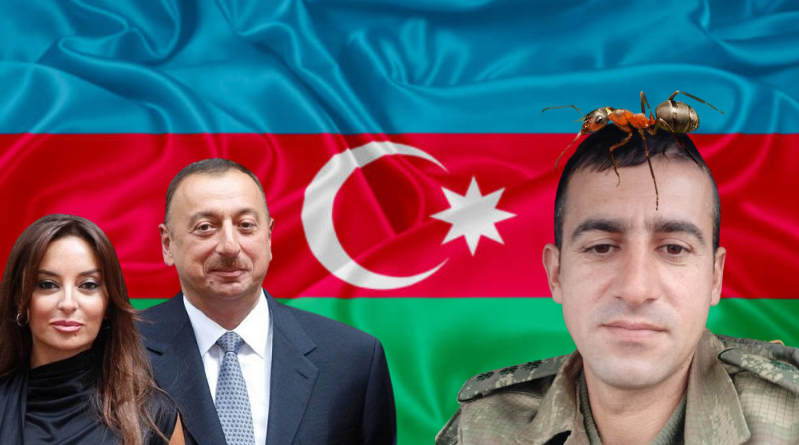 Даже муравья