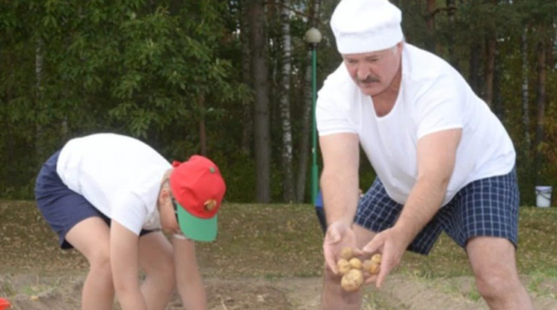 топтать честь Беларуси