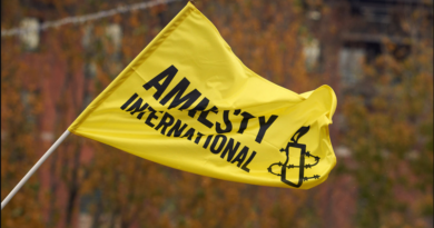 Amnesty International обвинила
