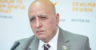 азербайджанского депутата Делягину