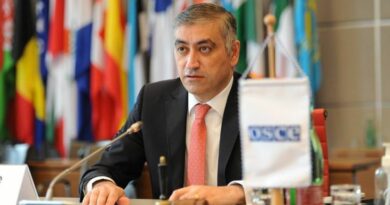 Армения Европа посол