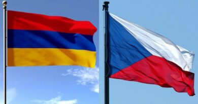 Армения Чехия консультации