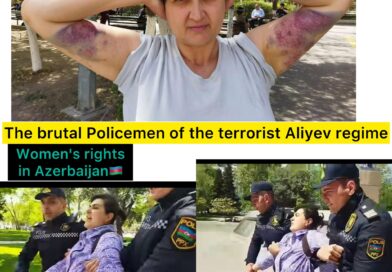 Полиция Азербайджана избила активистку во время протеста