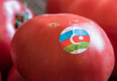 Кто теряет больше — Россия или Азербайджан?