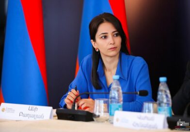 Армения предложила ряд решений в русле этой инициативы, которые могут быть приемлемы для всех сторон: Ани Бадалян