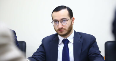 Армения Франция развитие